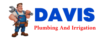 Trusted plumber in SILURIA